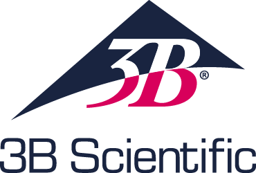 3b scientific logo