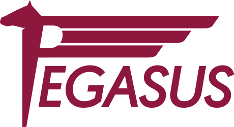 pegasus medical logo