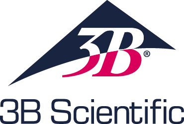3b scientific logo