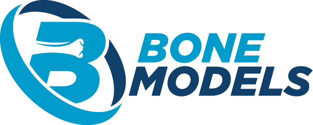 bone models logo
