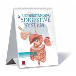 洋書 The Gastrointestinal System 1500F-2.jpg