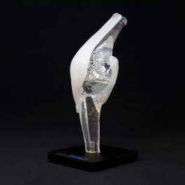 pivotal health electric epidural positioning device