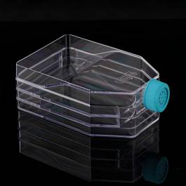 731302_3-layer-cell-culture-