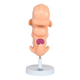 pivotal health electric epidural positioning device