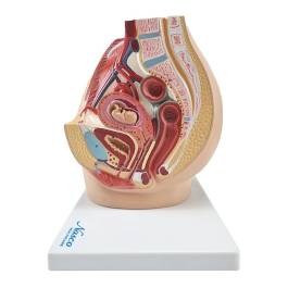 pivotal health electric epidural positioning device