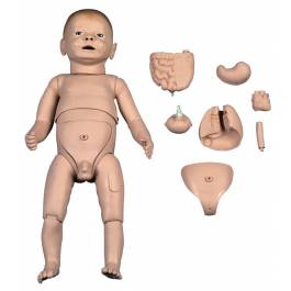 3B Scientific P30 Deluxe Dual Sex Nurse Training New Born Baby