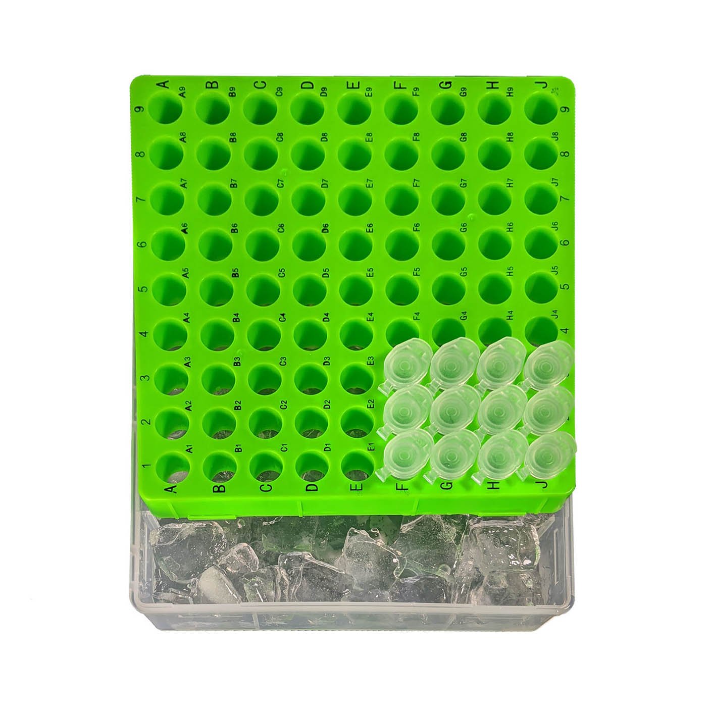 最新発見 MTC Bio R1081-A BetterBox Storage Box Hinged Lid for 81x1.5 その他