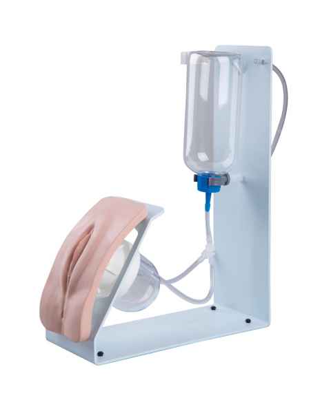 Catheterization Simulator Basic - Female