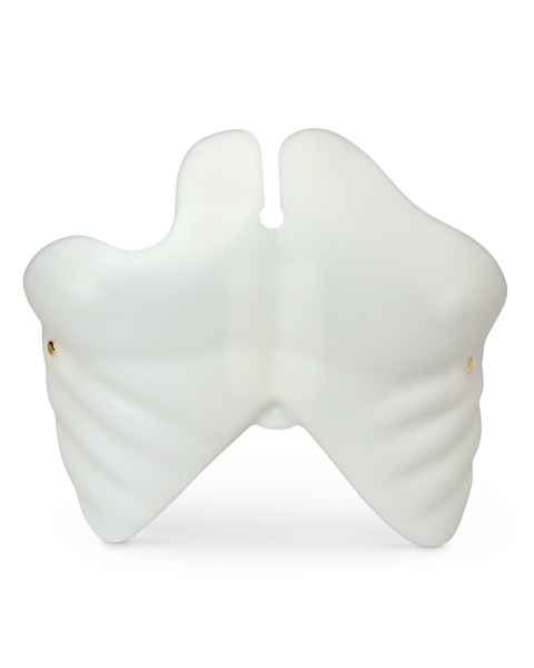 Simulaids Light Chest Plate for Brad and Paul