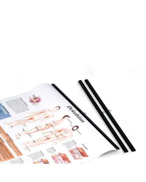3B Scientific 1002372 Black Plastic Rod for Anatomical Charts - 50 cm (Charts are sold separately)