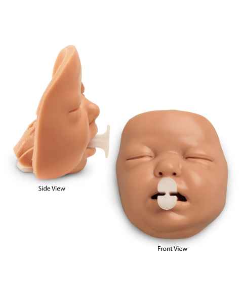 Simulaids Infant Airway Trainer