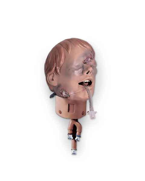 Nasco 101-069 Simulaids Trauma Intubation Head