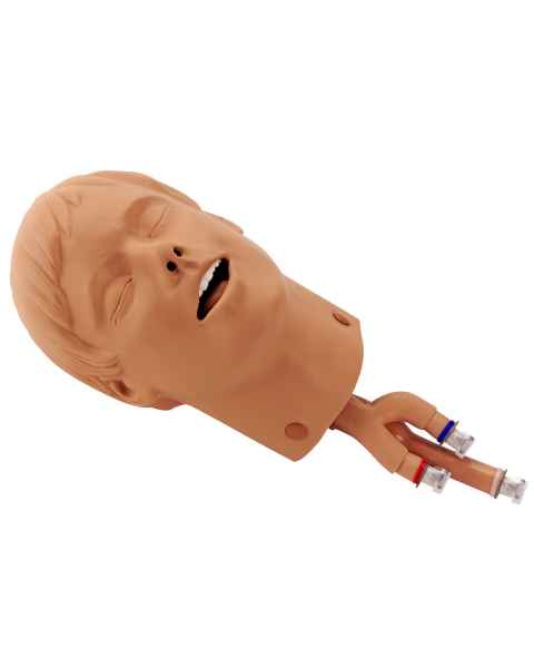 Simulaids Intubation Head - 19 in. x 7 in. x 10 in.
