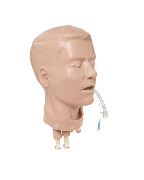 Simulaids Adult Deluxe Airway Management Head