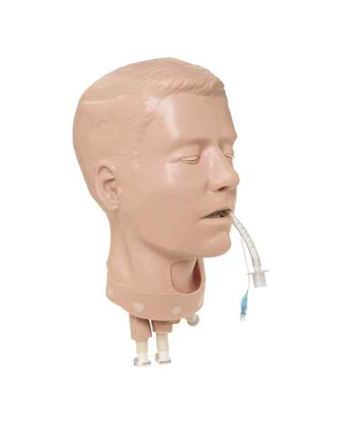 Nasco 101-306 Simulaids Adult Deluxe Airway Management Head