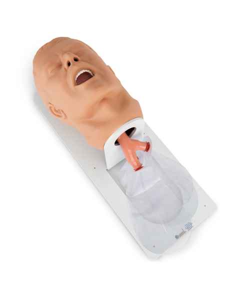 Nasco 101-500 Simulaids Economy Adult Airway Management Trainer with Board