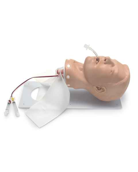 Nasco 101-502 Simulaids Adult Deluxe Airway Management Trainer with Board