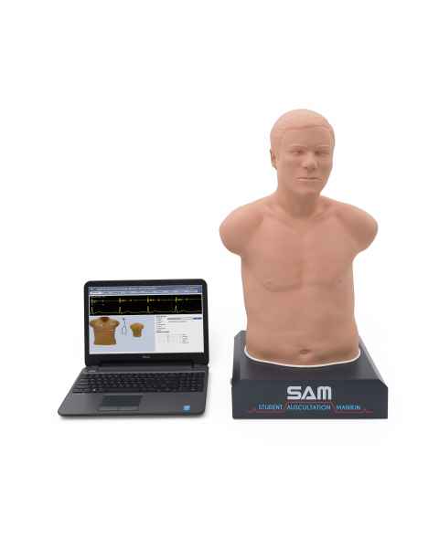 3B Scientific 1020095 SAM II® - Student Auscultation Manikin with Laptop, Light Skin Tone