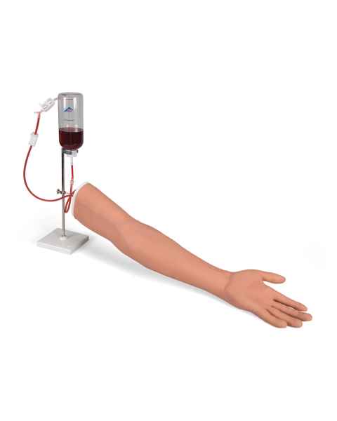 3B Scientific 1021418 SKINlike™ I.V. Injection Arm - Light Skin Tone