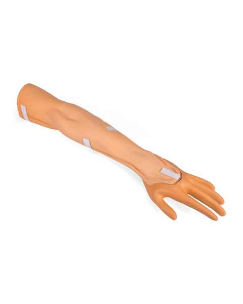 3B Scientific 1021422 Replacement Arm and Hand for SKINlike™ I.V. Injection Arm