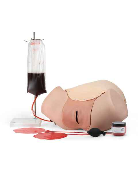 3B Scientific 1021568 Postpartum Hemorrhage Trainer
