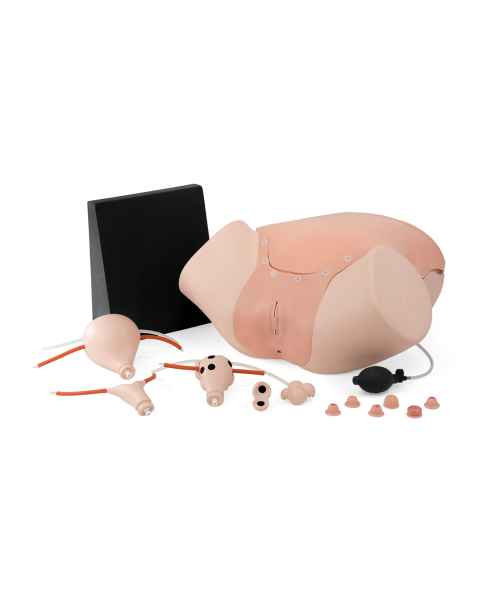 3B Scientific 1021592 SKINlike™ Gynecologic Skills Trainer - Light Skin Tone