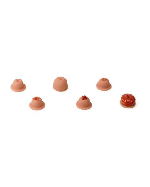 3B Scientific 1021593 Replacement Cervix Set for SKINlike™ Gynecologic Skills Trainer