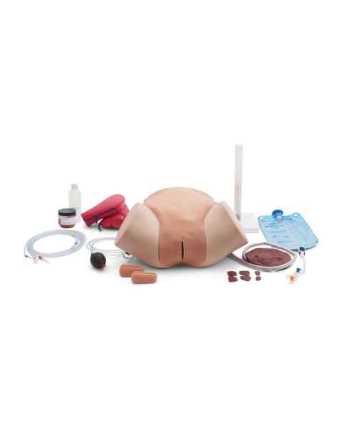 3B Scientific 1023727 Postpartum Hemorrhage Trainer PRO