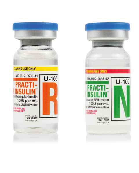 Wallcur 1024847 Practi-Insulin Training Pack