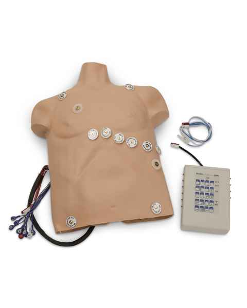 Simulaids 12-Lead Arrhythmia Simulator with Manikin Overlay - Zoll - Medium