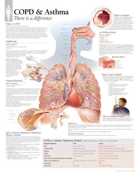 COPD & Asthma Chart