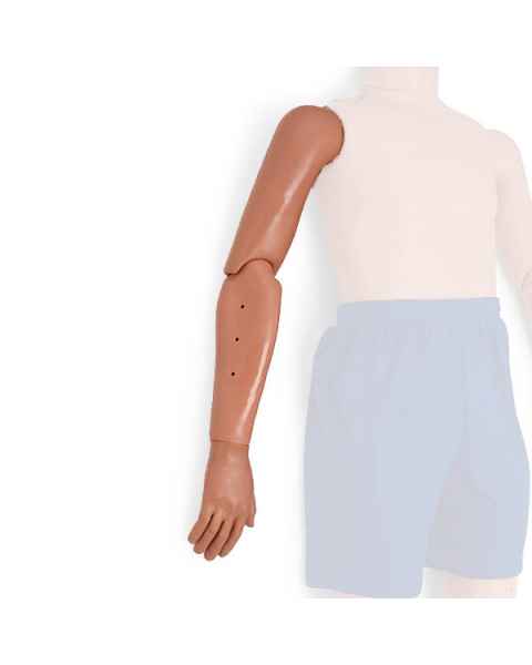 Simulaids Adult Right Arm