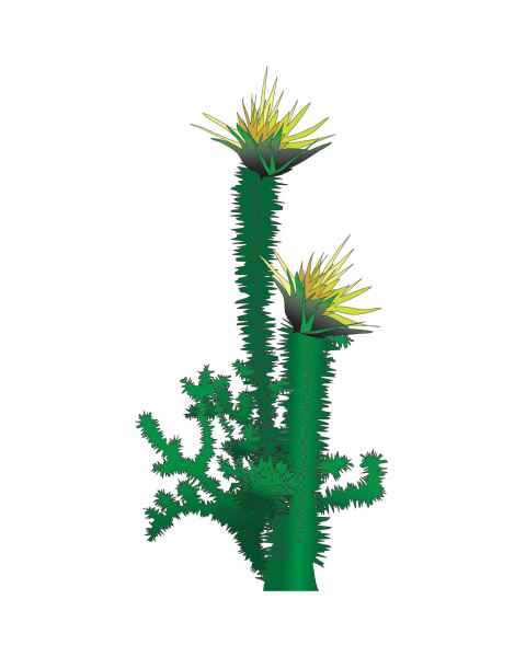 Clinton 15-CC Cactus Wall Sticker