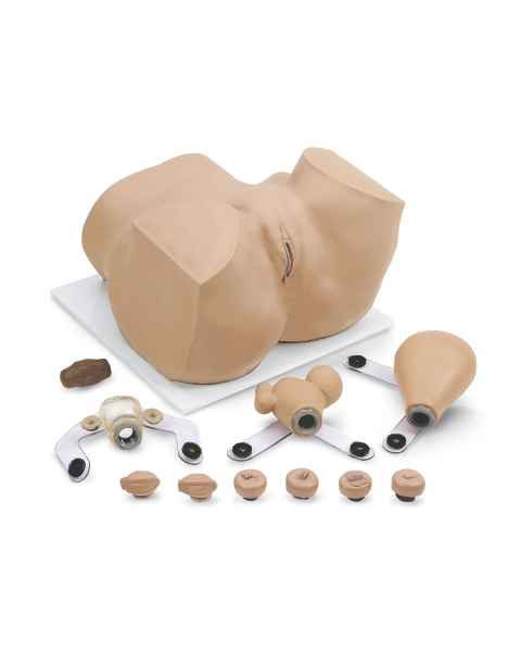 EVA Gynecological Training Manikin