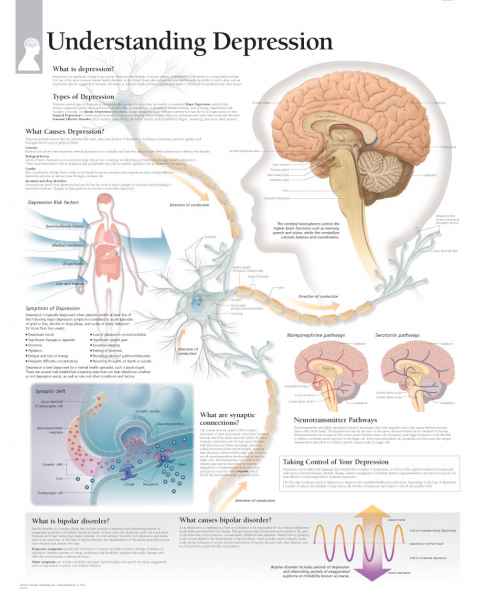 Understanding Depression Chart