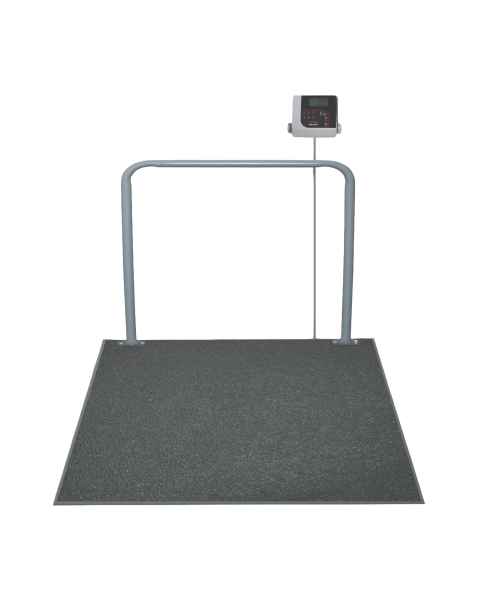 Rice Lake 204402 In-Floor Veterinary Scale, Front View