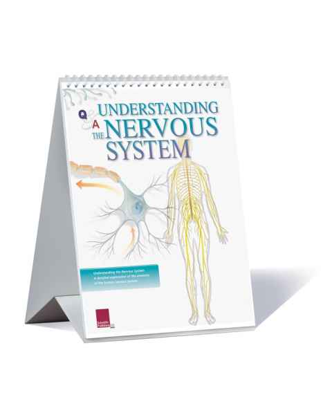 Scientific Publishing 2700F Understanding The Nervous System Flip Chart