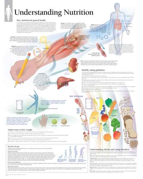 Understanding Nutrition Chart