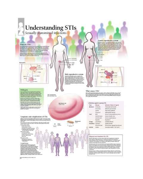 Scientific Publishing Understanding STIs Chart