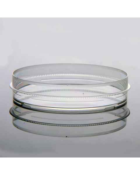 NEST Scientific 704201 Cell Culture Dish with Gripping Ring, 100 mm - Close-up
