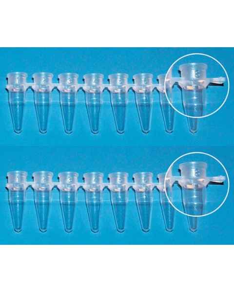 PCR Tube Strip Without Cap 8 x 0.2mL