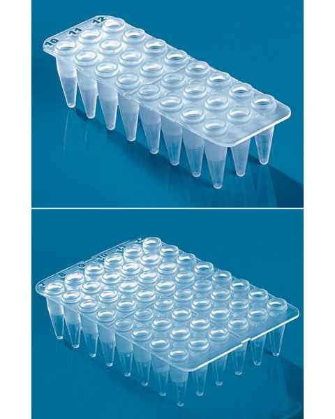 24- and 48-Well PCR Plates