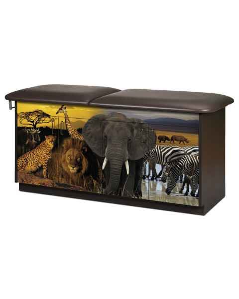 Clinton Adventure Series Safari Pediatric Treatment Table