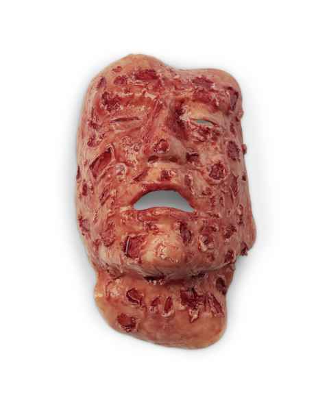 Life/form Moulage Wound - Face Burn Simulator