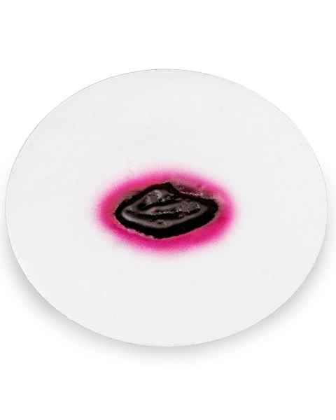 Life/form Moulage Wound - Anthrax, Oblong-Shaped Simulator