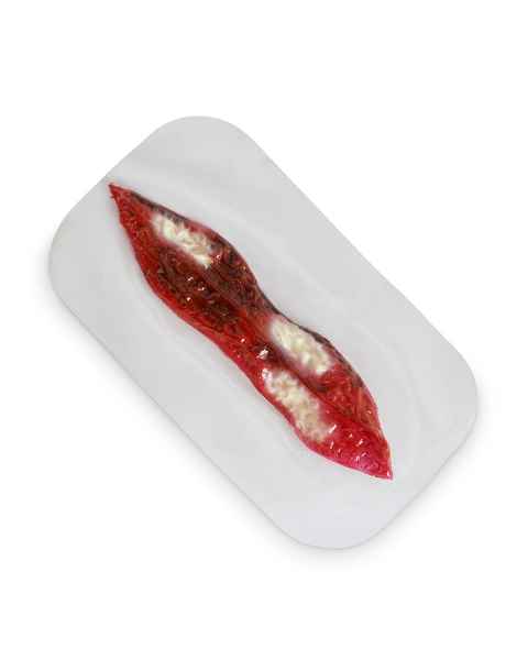 Life/form Moulage Wound - Slash Wound Simulator