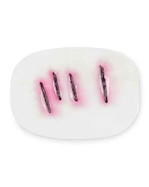 Life/form Moulage Wound - Hesitation Wound Simulator