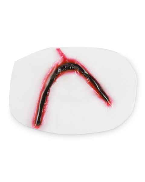 Life/form Moulage Wound -  Blunt Bat Wound Wound Simulator
