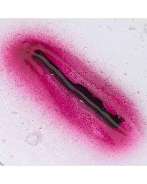Life/form Moulage Wound - Laceration - Stick-On - Small - 1 cm Wound Simulator