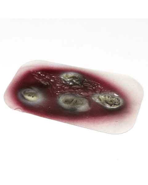 Life/form Moulage Wound - Wound - 2nd Degree Burn - Stick-On Wound Simulator